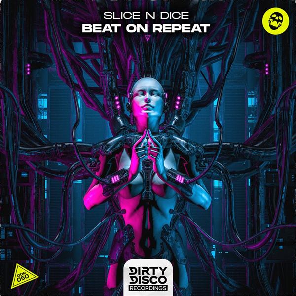 DDR050 cover art